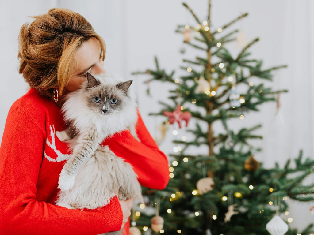 How to Keep Your Cat Safe During the Holidays