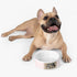 Privé Pet Signature Crest Ceramic Pet Bowl- 16oz