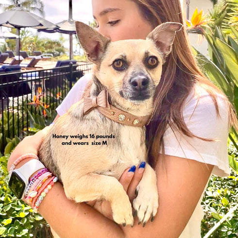 Le Diamant Crystal Dog & Cat Collar