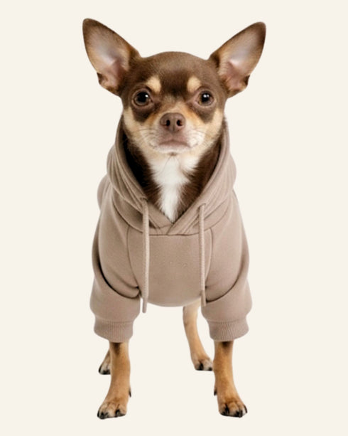Maison Dog Hoodie