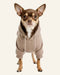 Maison Dog Hoodie