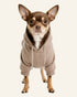 Maison Dog Hoodie