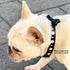 Le Diamant Crystal Dog & Cat Collar