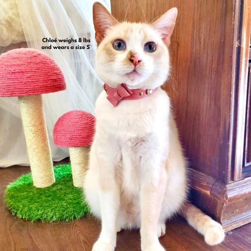 Le Diamant Crystal Dog & Cat Collar