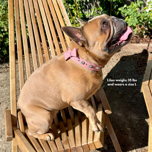 Le Diamant Crystal Dog & Cat Collar