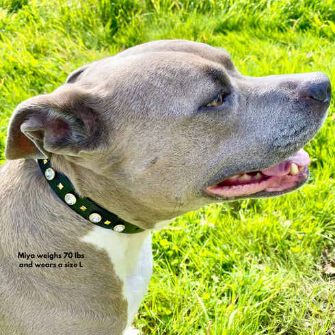 Le Diamant Crystal Dog & Cat Collar