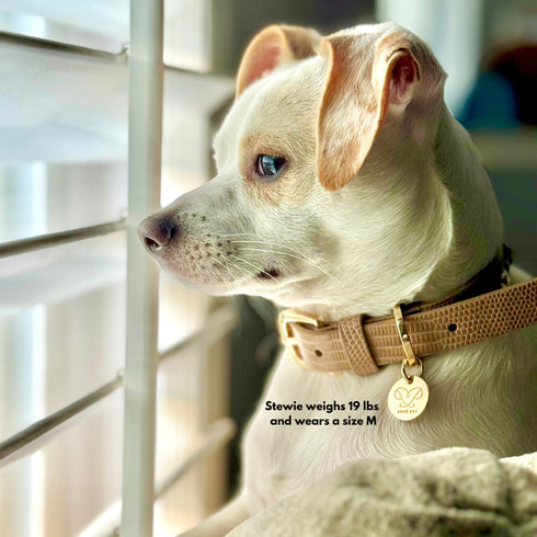 Le Diamant Crystal Dog & Cat Collar